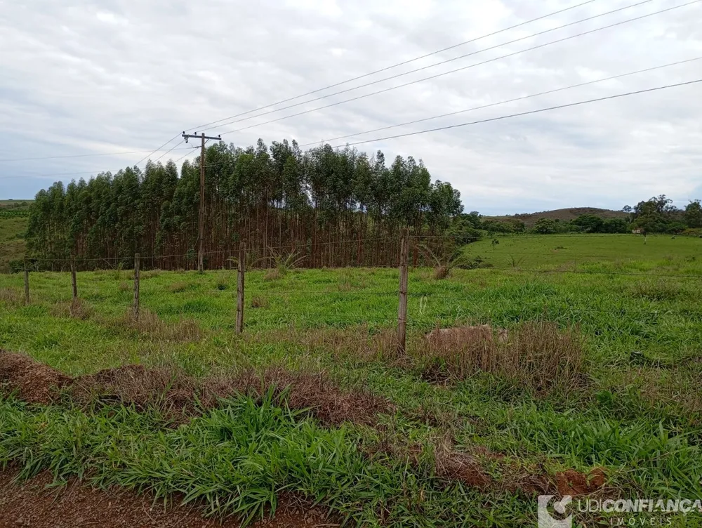 Fazenda - Foto 6