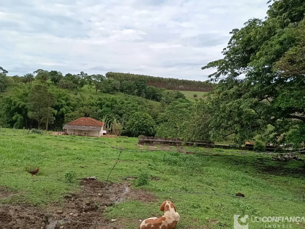 Fazenda - Foto 2