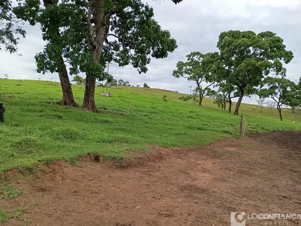 Fazenda - Foto 8