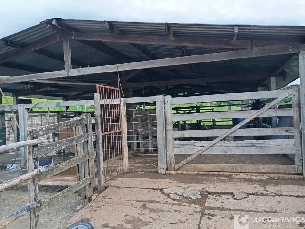 Fazenda - Foto 12