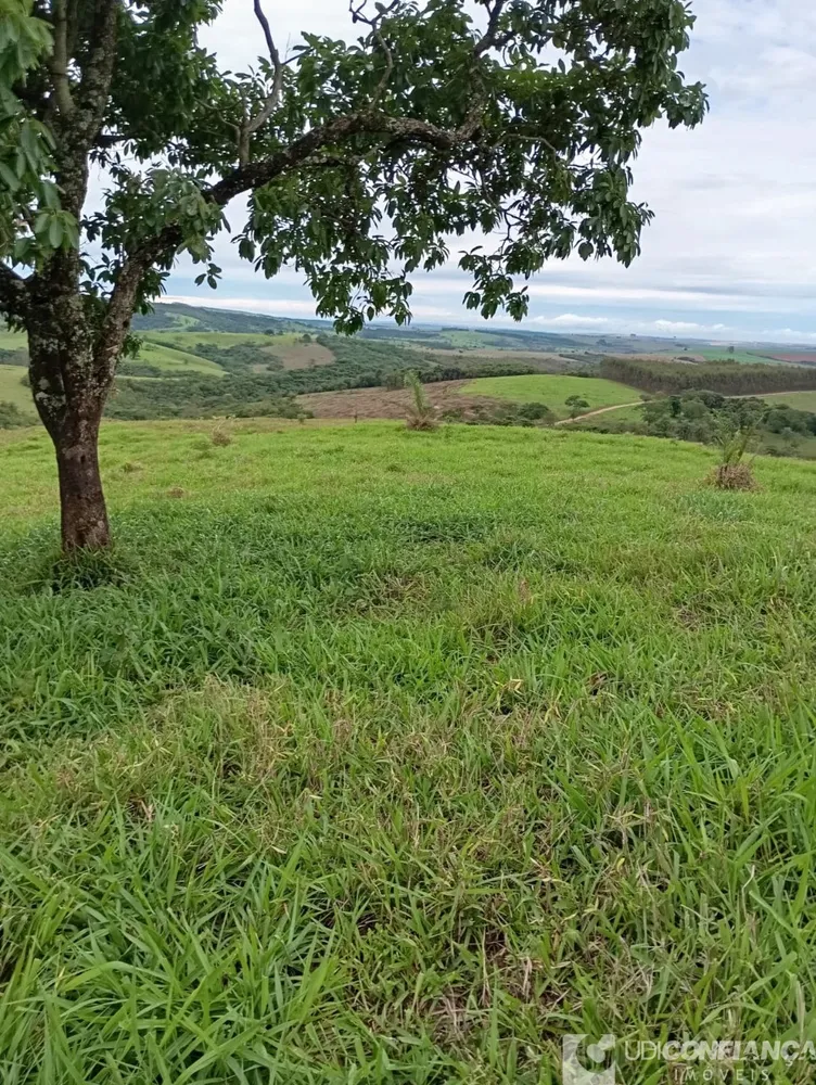 Fazenda - Foto 1