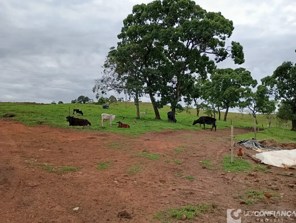 Fazenda - Foto 9