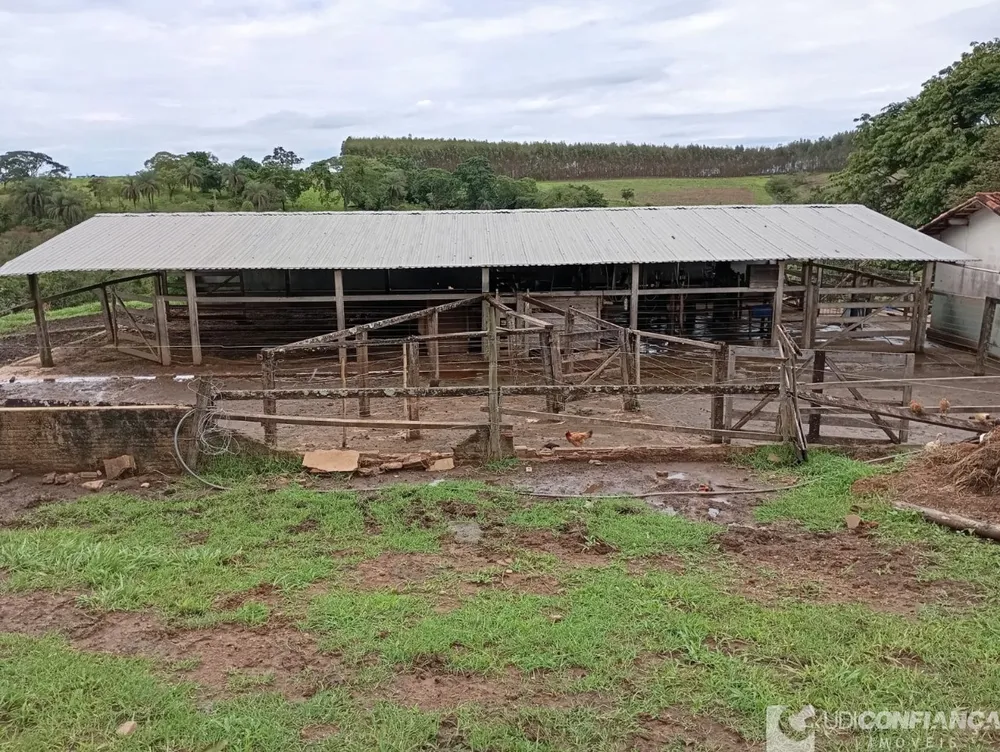 Fazenda - Foto 10