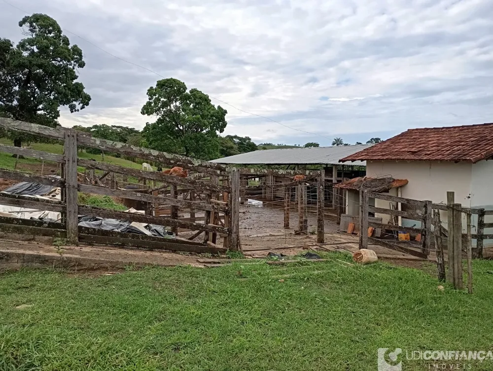 Fazenda - Foto 1