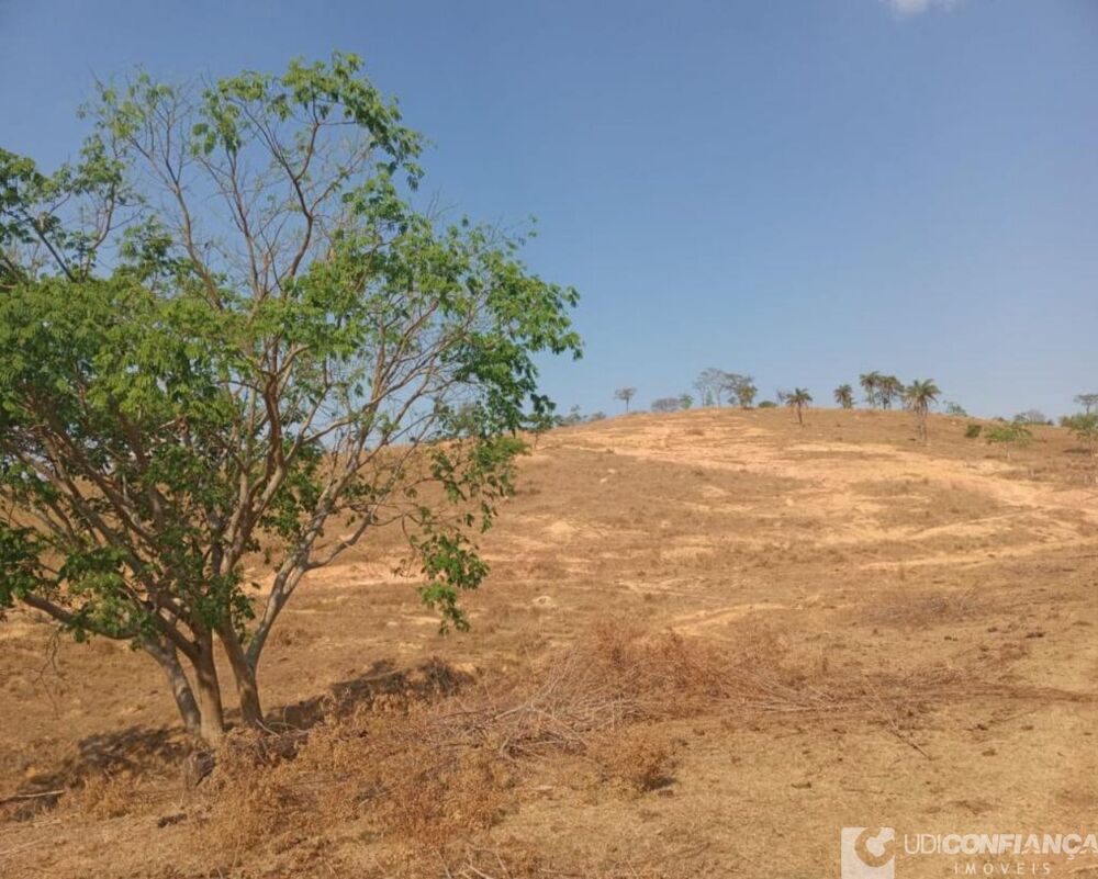 Fazenda - Foto 8