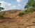 Fazenda - Foto 5