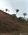 Fazenda - Foto 2