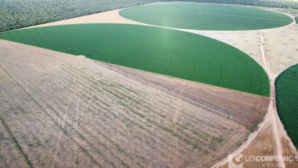 Fazenda - Foto 10