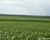Fazenda - Foto 4
