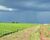 Fazenda - Foto 1