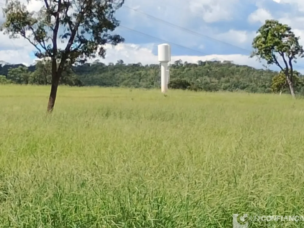Fazenda - Foto 5