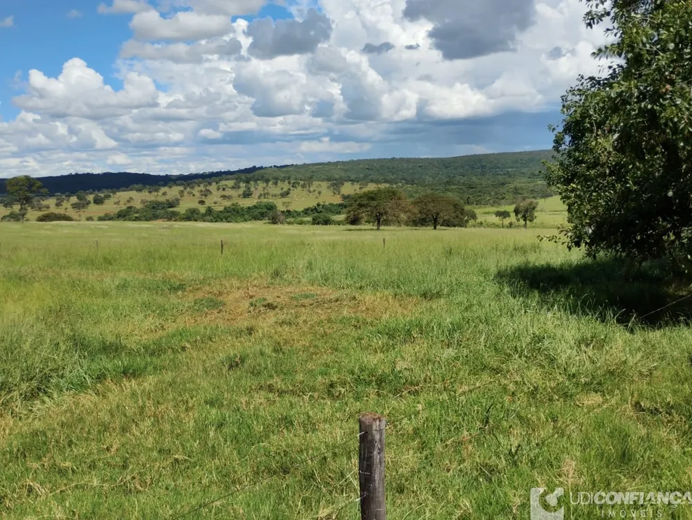 Fazenda - Foto 6