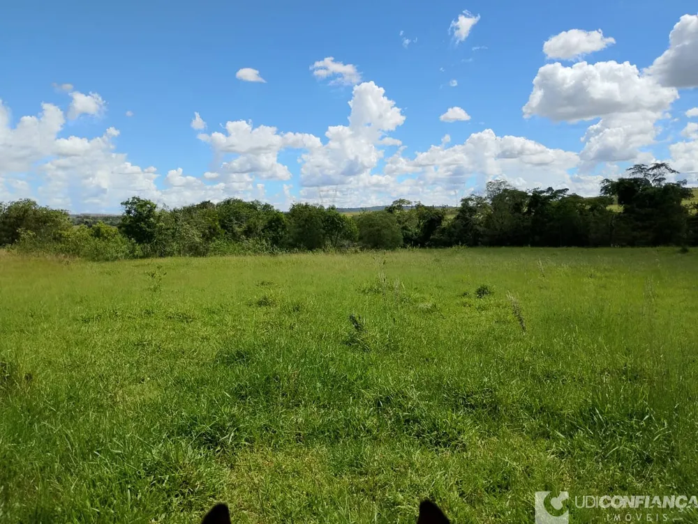 Fazenda - Foto 7