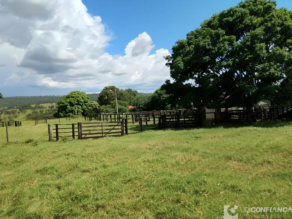 Fazenda - Foto 11