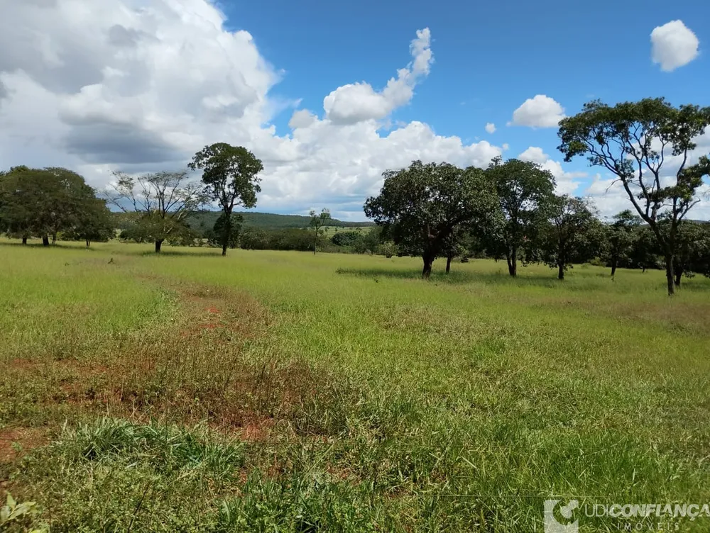 Fazenda - Foto 10