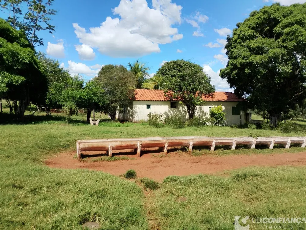Fazenda - Foto 6
