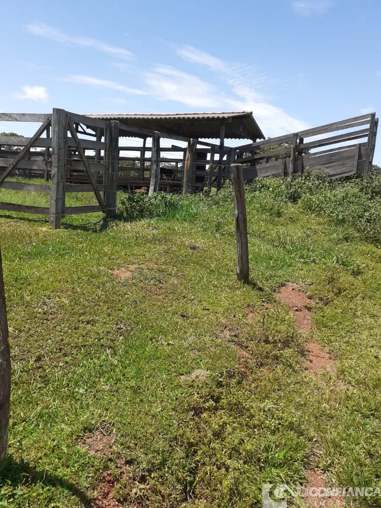 Fazenda - Foto 3