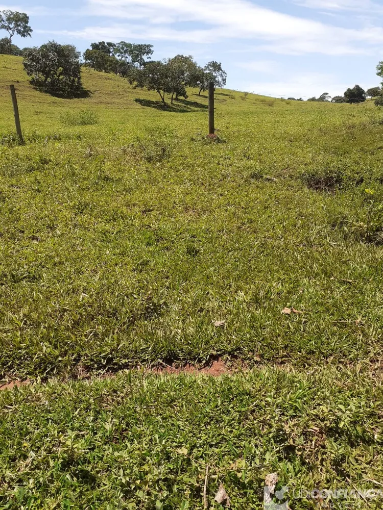 Fazenda - Foto 1
