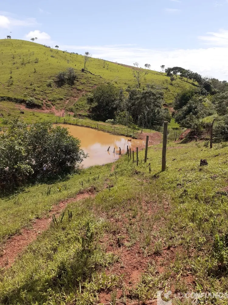 Fazenda - Foto 2