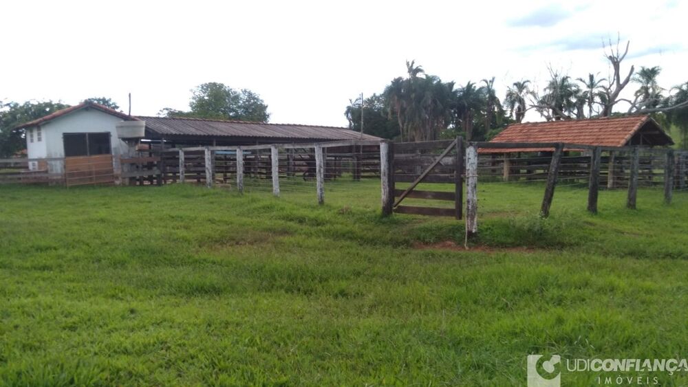 Fazenda - Foto 3