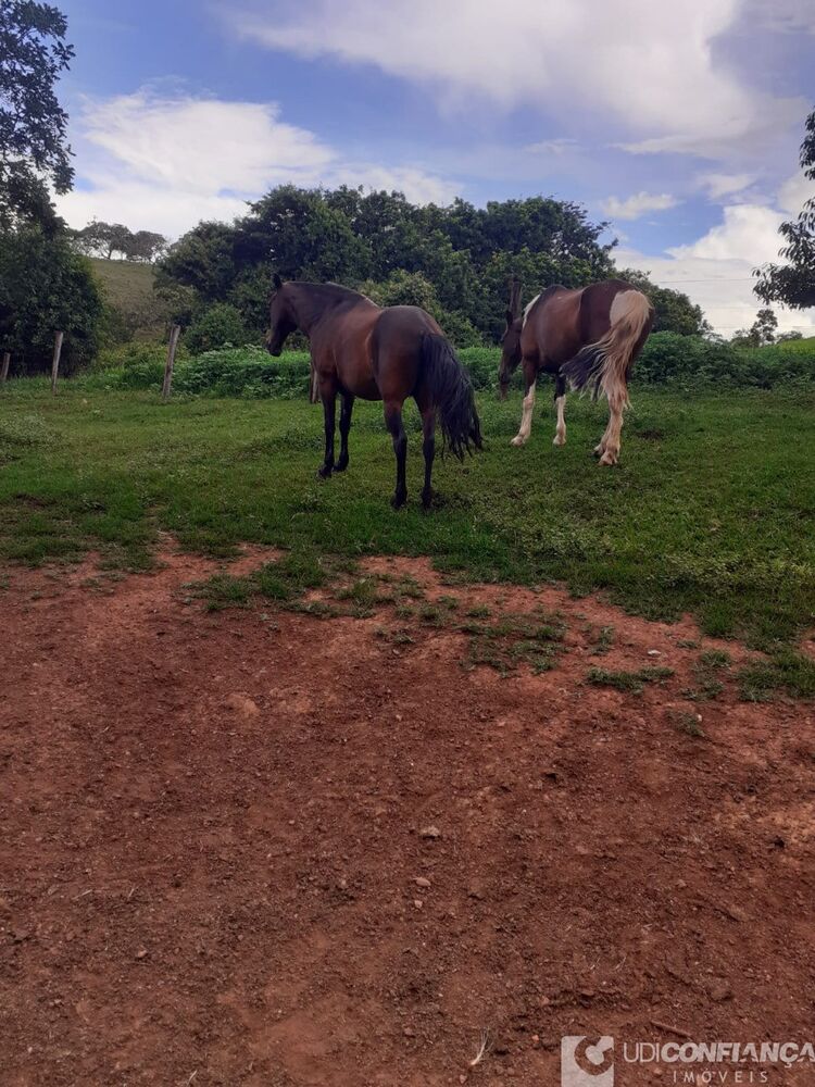 Fazenda à venda, 33m² - Foto 3