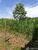 Fazenda - Foto 2