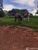 Fazenda - Foto 3