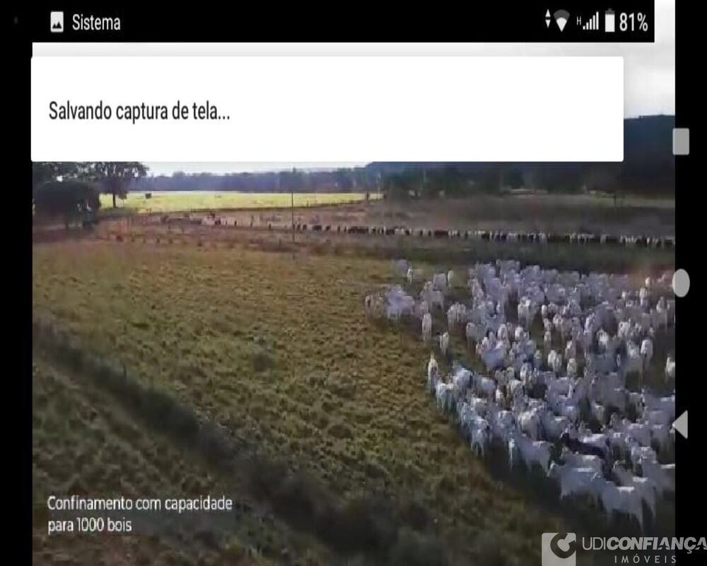 Fazenda - Foto 10