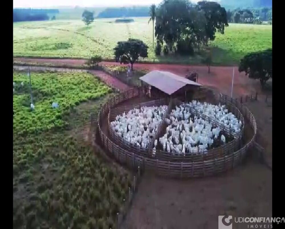 Fazenda - Foto 11