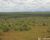 Fazenda - Foto 4