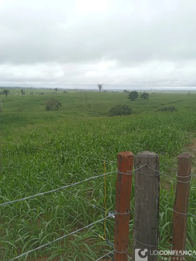 Fazenda - Foto 1