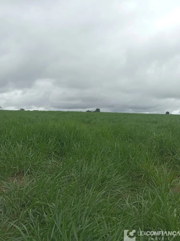 Fazenda - Foto 2
