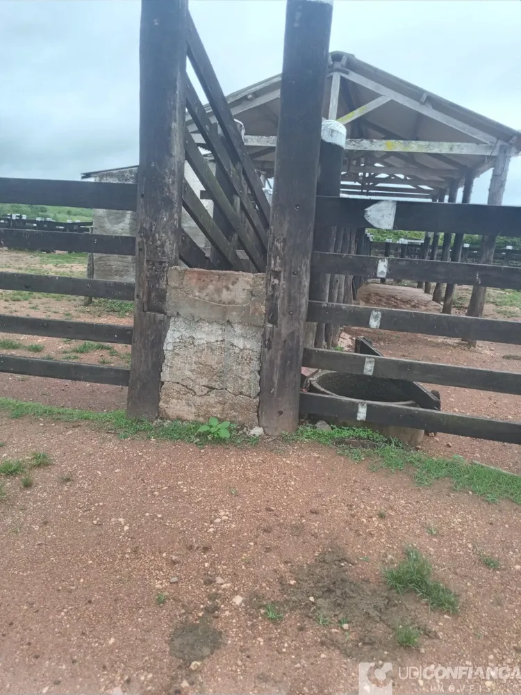 Fazenda - Foto 4