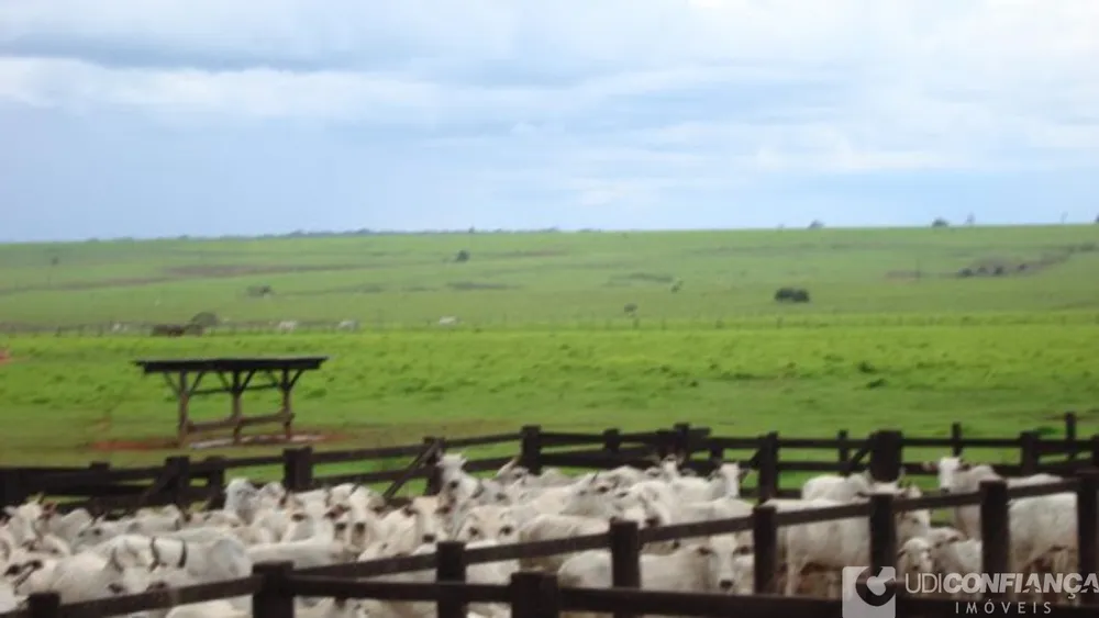 Fazenda - Foto 7