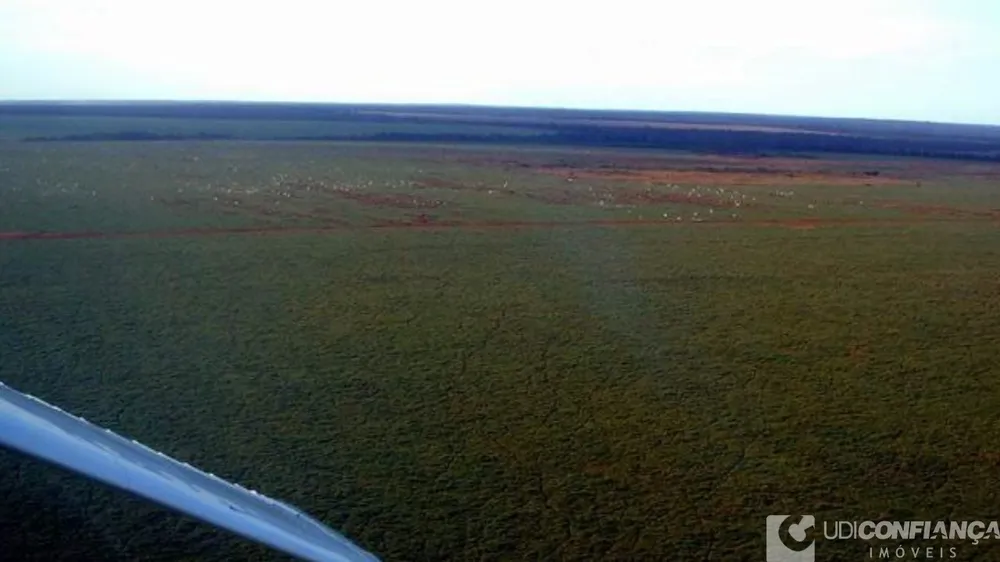 Fazenda - Foto 10