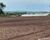 Fazenda-Sítio-Chácara - Foto 3