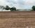 Fazenda-Sítio-Chácara - Foto 7