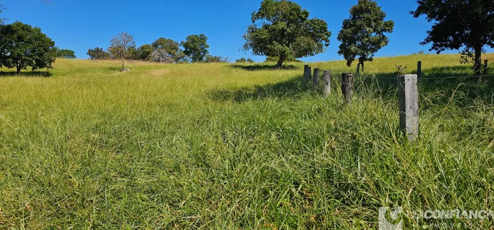 Fazenda - Foto 4