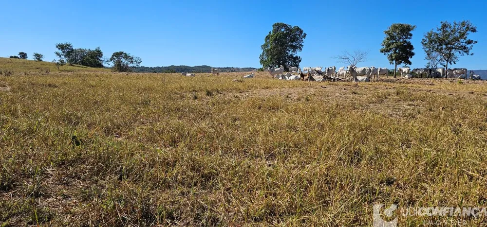 Fazenda - Foto 3