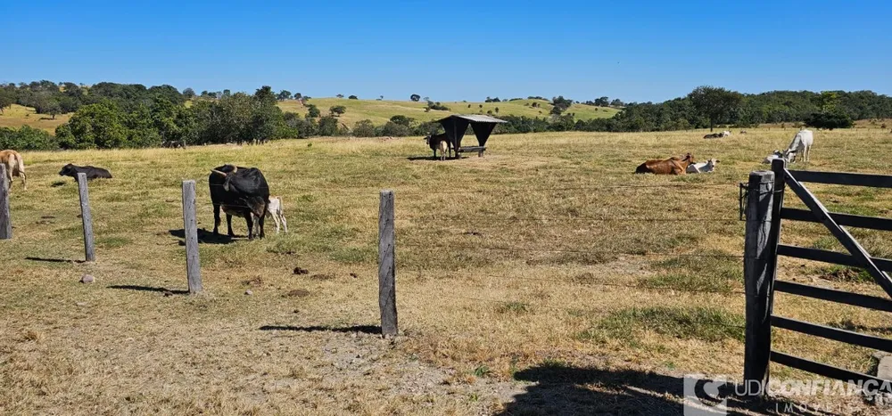 Fazenda - Foto 3