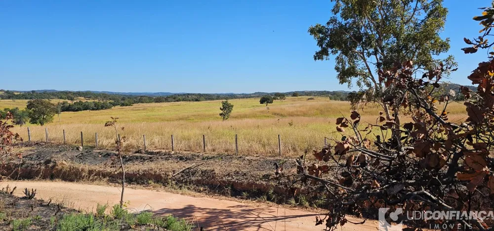Fazenda - Foto 11
