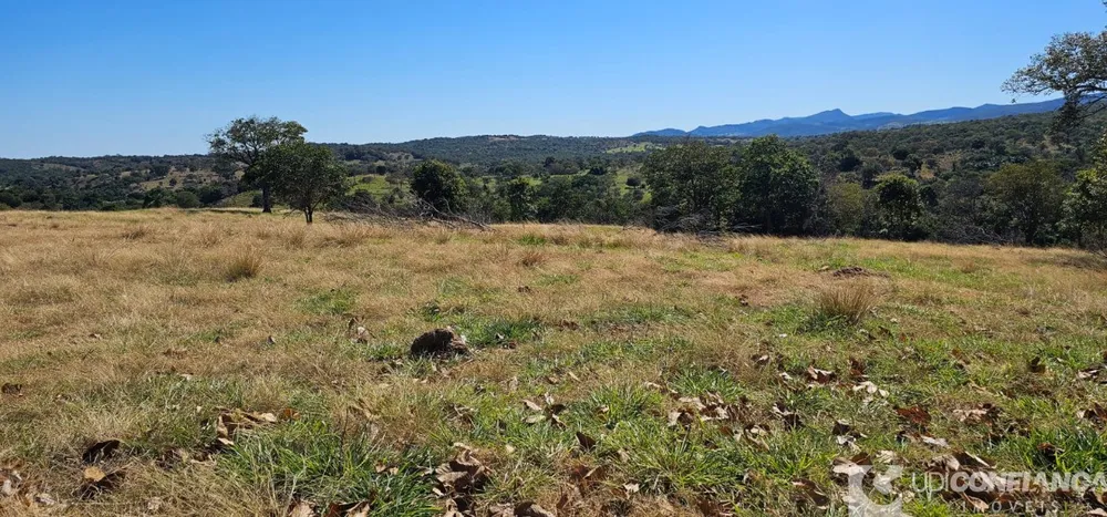 Fazenda - Foto 2