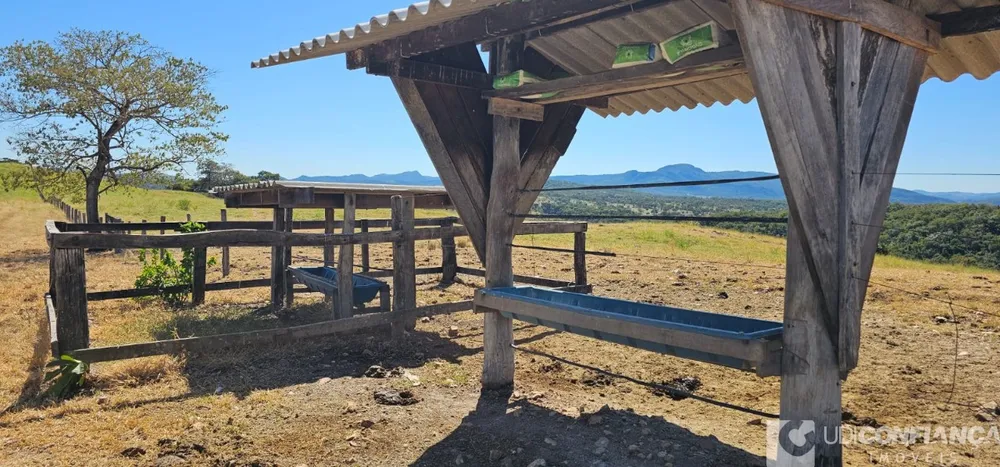 Fazenda - Foto 10