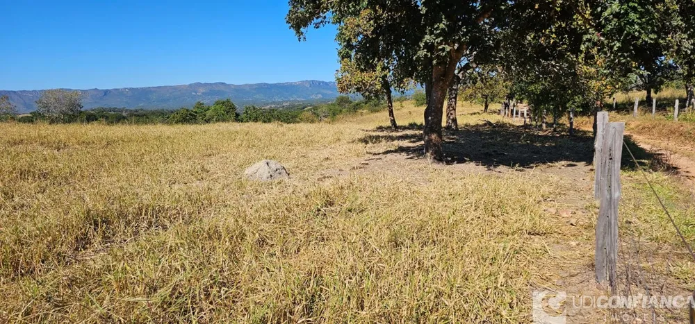 Fazenda - Foto 1