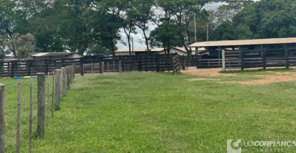 Fazenda - Foto 2