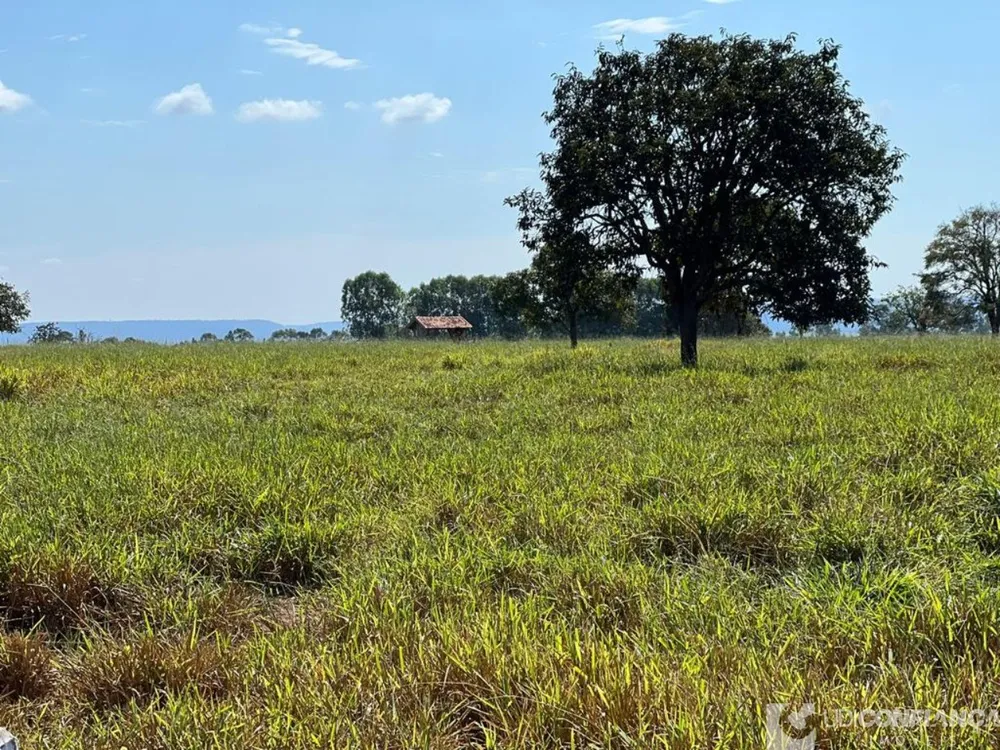 Fazenda - Foto 12
