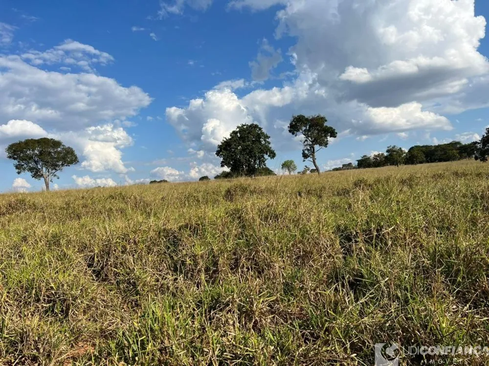 Fazenda - Foto 4