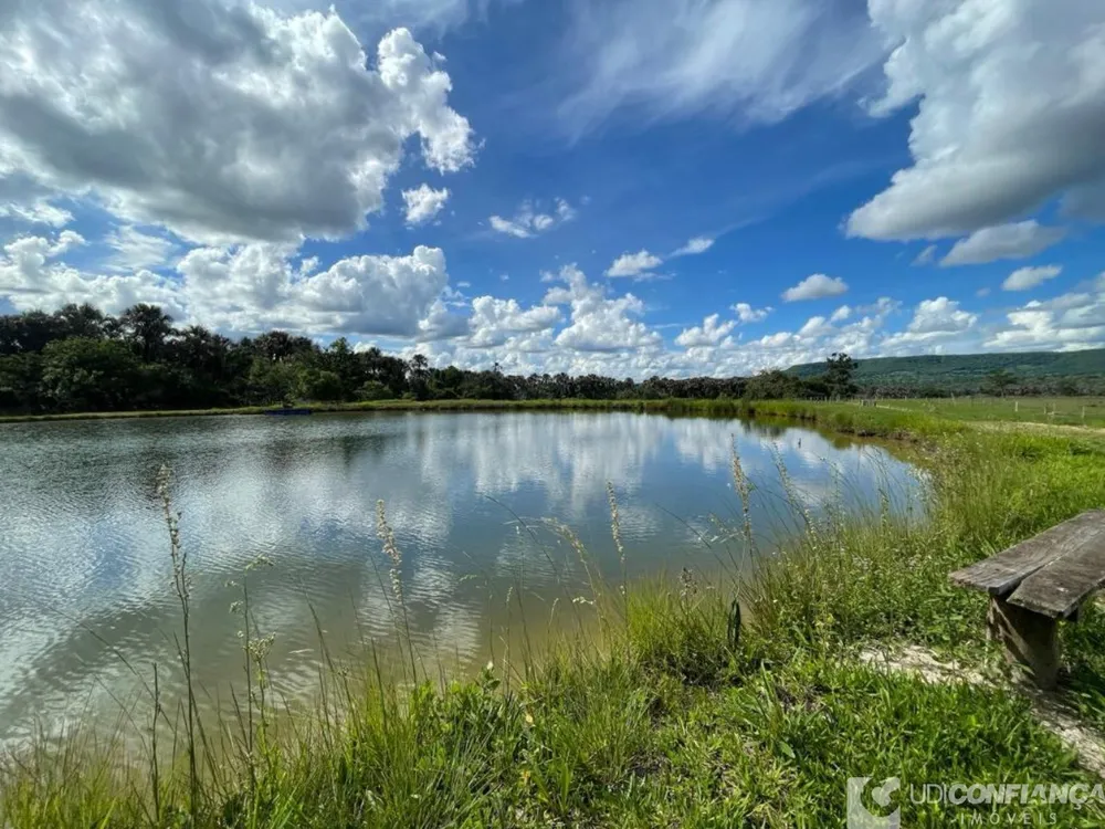 Fazenda - Foto 6