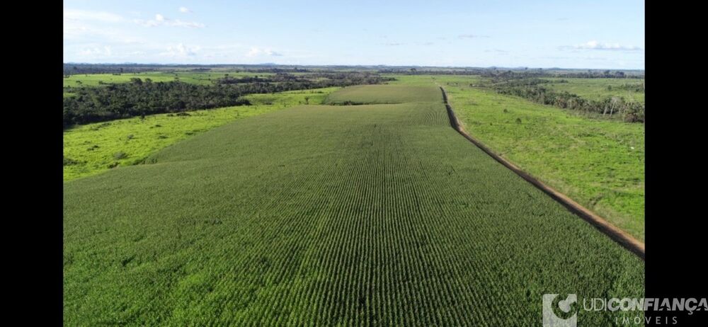 Fazenda à venda - Foto 4