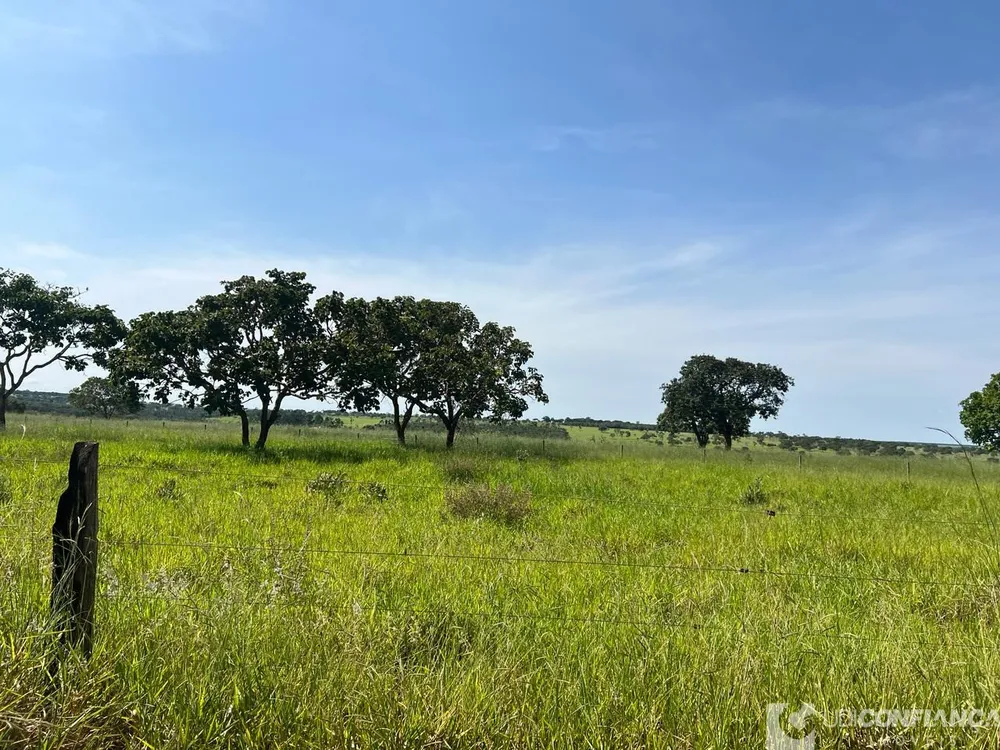 Fazenda - Foto 7